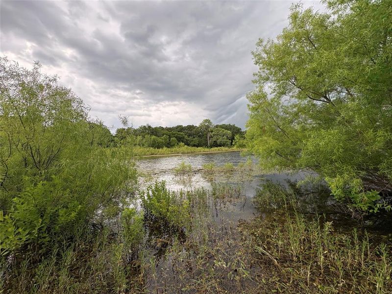Natural landscape and outdoor views near Freeman Ranch in Weatherford (Image 18).