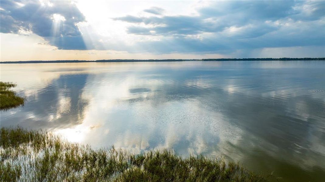 Natural landscape and outdoor views near Cresswind at Lake Harris in Tavares (Image 50).