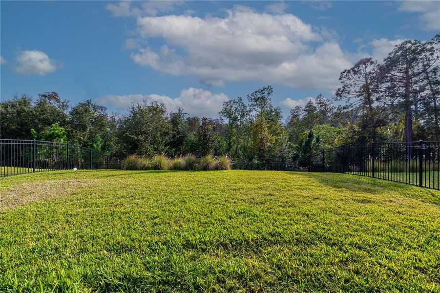 Natural landscape and outdoor views near  in Winter Garden (Image 29).