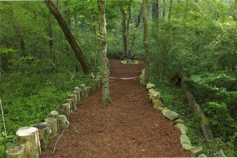 Natural landscape and outdoor views near  in Ellijay (Image 24).