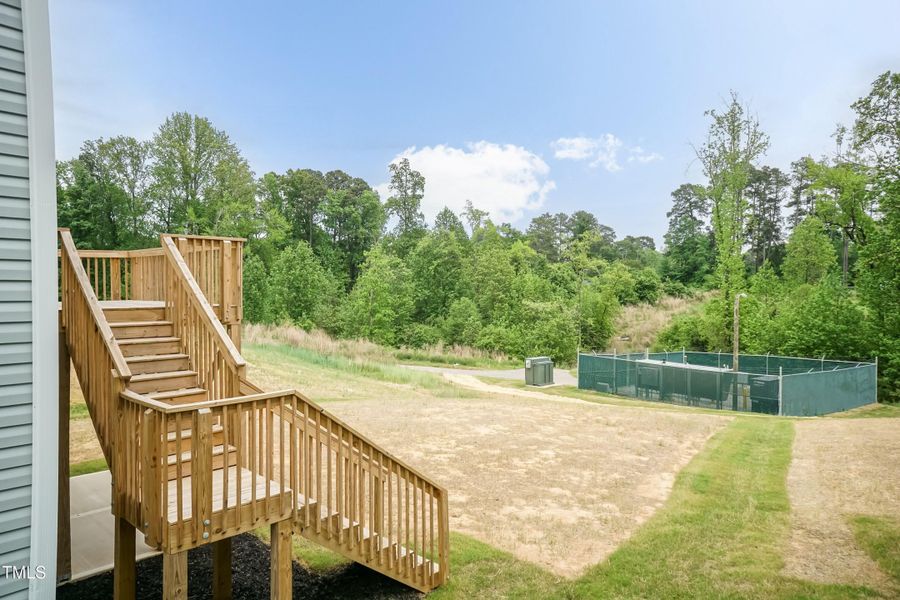 Back Yard 01 Back Yard 01