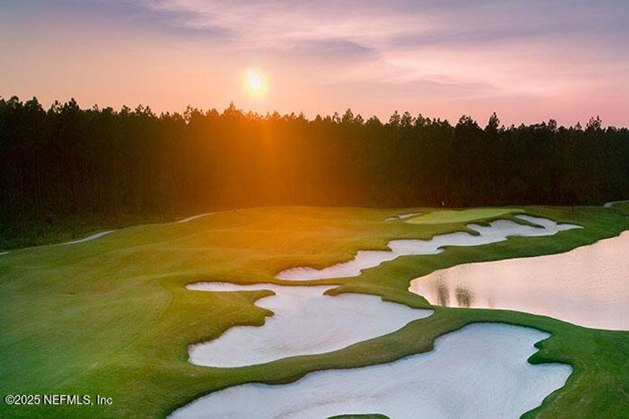 Amelia National Golf 1