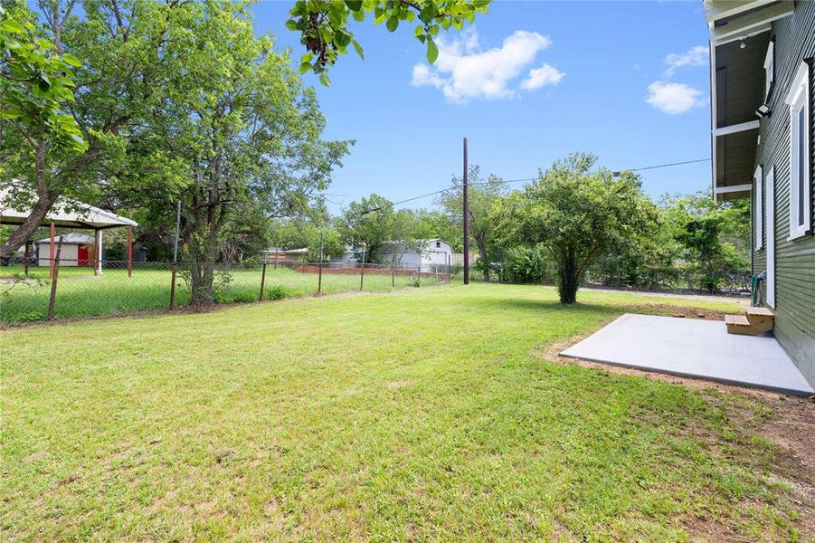Back yard