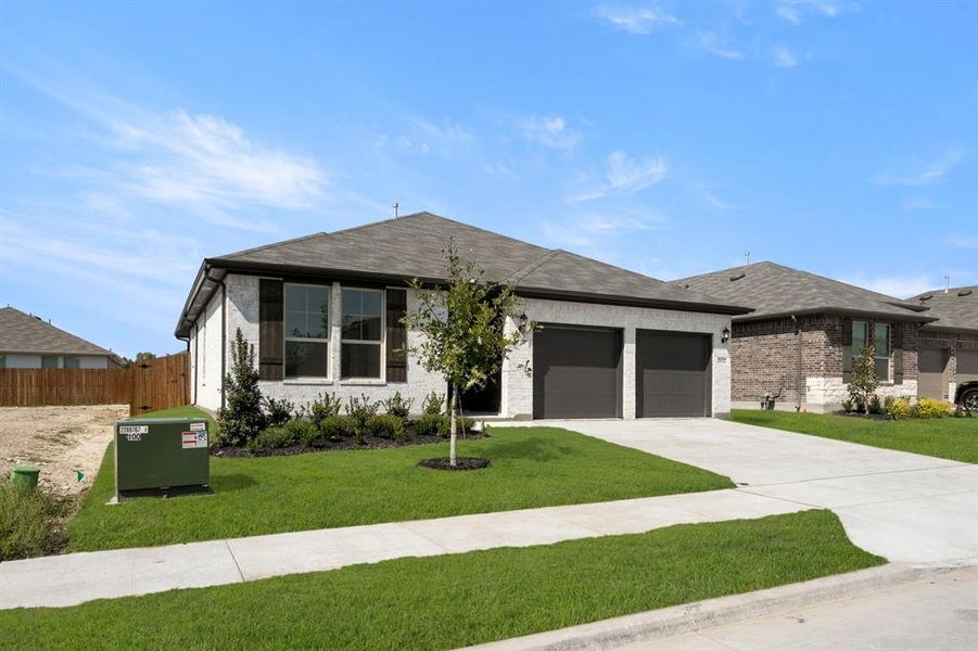 3132 Areca- Front-2 3132 Areca- Front-2