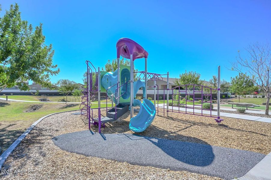 Community Playground