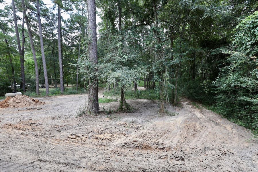 Natural landscape and outdoor views near in Magnolia (Image 33). Natural landscape and outdoor views near in Magnolia (Image 33).