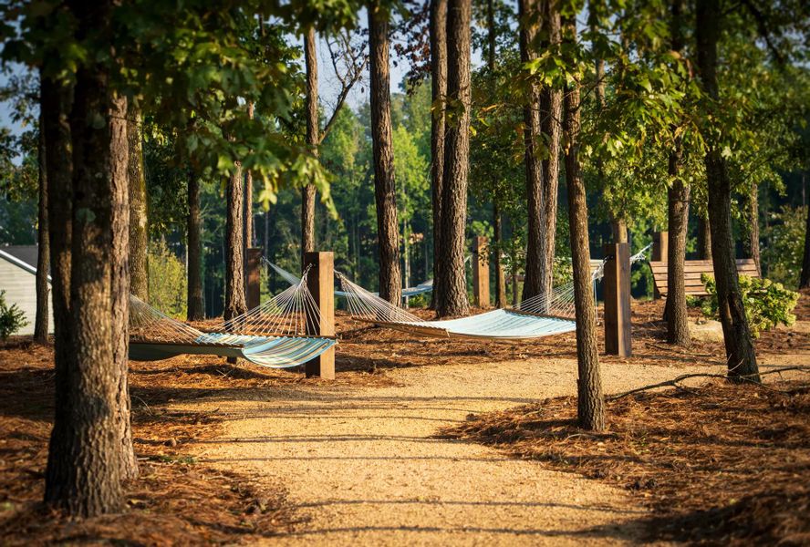 Serenity Walking Paths & Hammocks