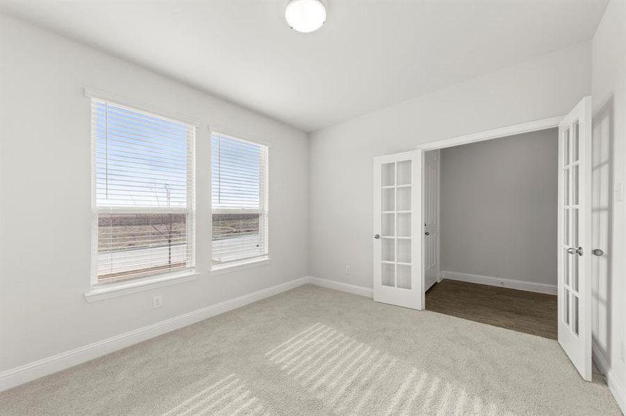 04. 125 Meadow - Study