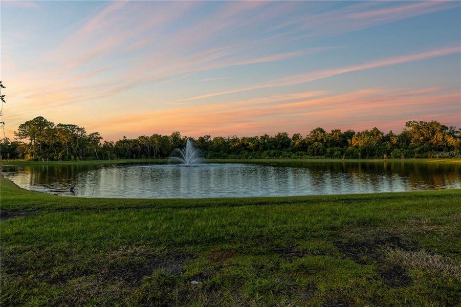 Natural landscape and outdoor views near North Lake Estates in Tarpon Springs (Image 7). Natural landscape and outdoor views near North Lake Estates in Tarpon Springs (Image 7).