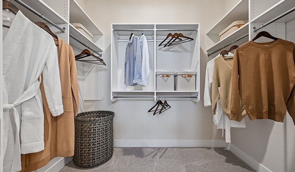 Darius-D786-Legacy Closet