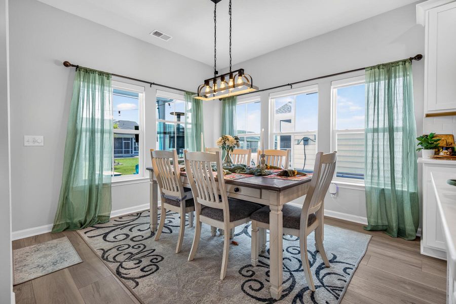 Furnished interior view inside a new home in Horizons at Summers Corner | 55+, Summerville (Image 18).