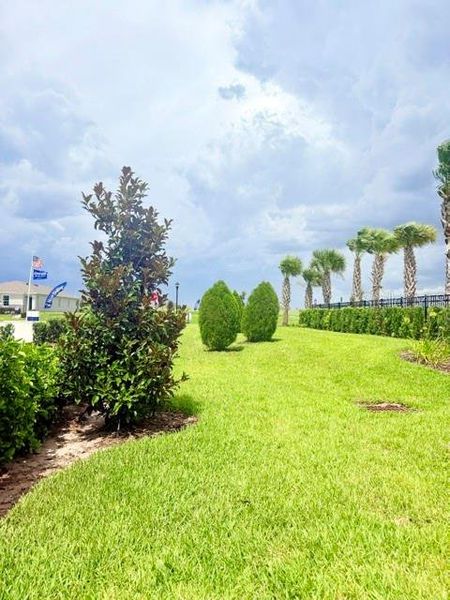 Natural landscape and outdoor views near  in Winter Haven (Image 29).