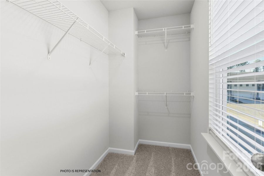 Spacious, unfurnished interior of a new home in Autumn Brook, Stanley (Image 7).