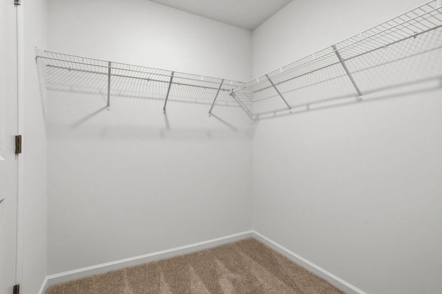 Spacious, unfurnished interior of a new home in Bellevue, Greenville (Image 16).