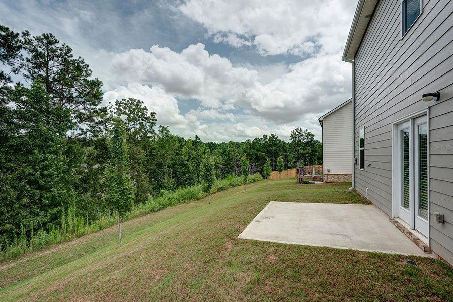 Exterior details and patio area of a home in Cedar Ridge - Locust Grove Station, Locust Grove (Image 24).