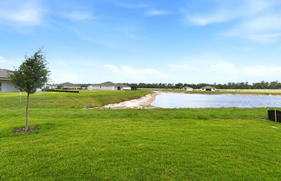 Natural landscape and outdoor views near Del Webb River Reserve in Spring Hill (Image 23).