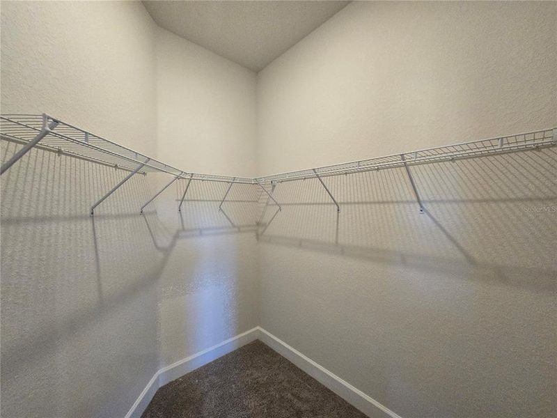 Spacious, unfurnished interior of a new home in Twisted Oaks, Beverly Hills (Image 23). Spacious, unfurnished interior of a new home in Twisted Oaks, Beverly Hills (Image 23).