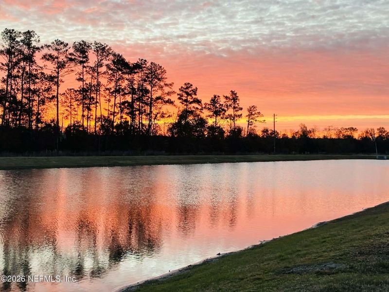 Natural landscape and outdoor views near  in Jacksonville (Image 31).