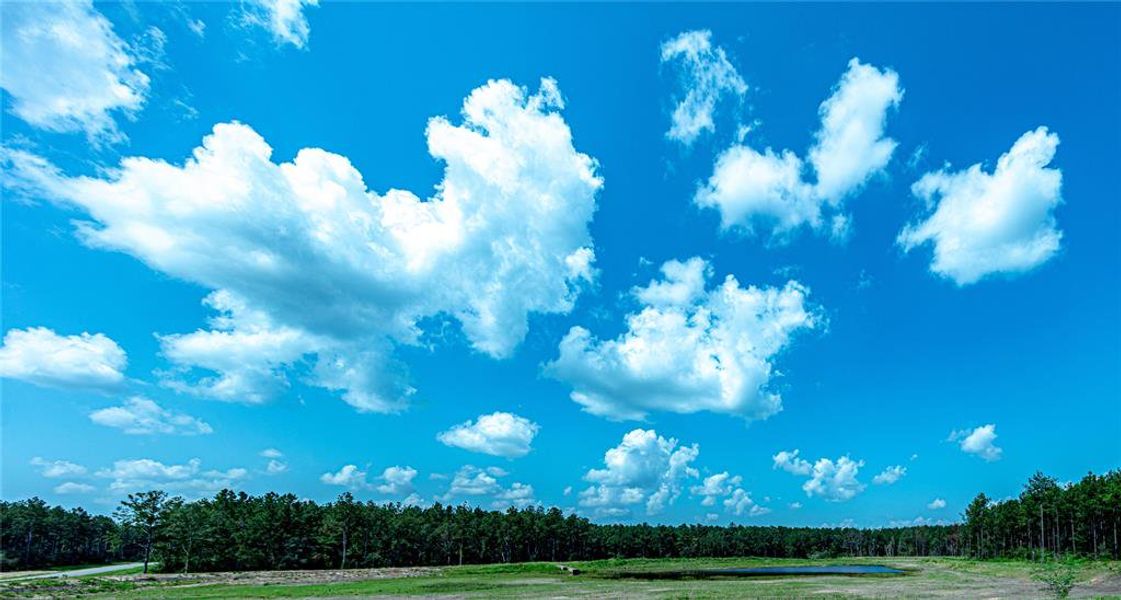 Expansive rural view with a serene pond, lush green trees, and a bright blue sky filled with fluffy white clouds—perfect for nature lovers seeking tranquility.