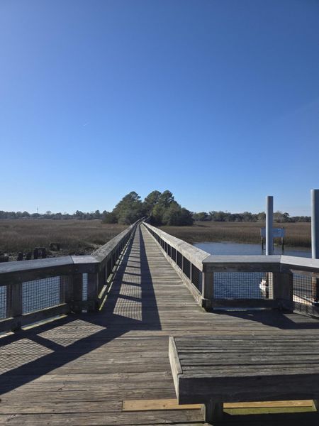 Natural landscape and outdoor views near in Charleston (Image 40). Natural landscape and outdoor views near in Charleston (Image 40).