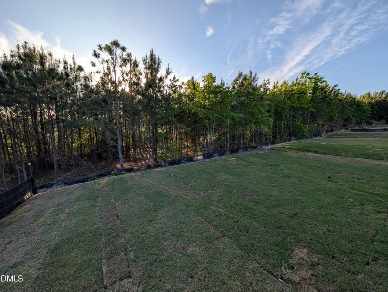 PXL_20260421_224212828.MP