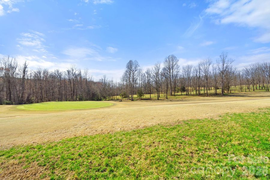 Natural landscape and outdoor views near  in Summerfield (Image 39).