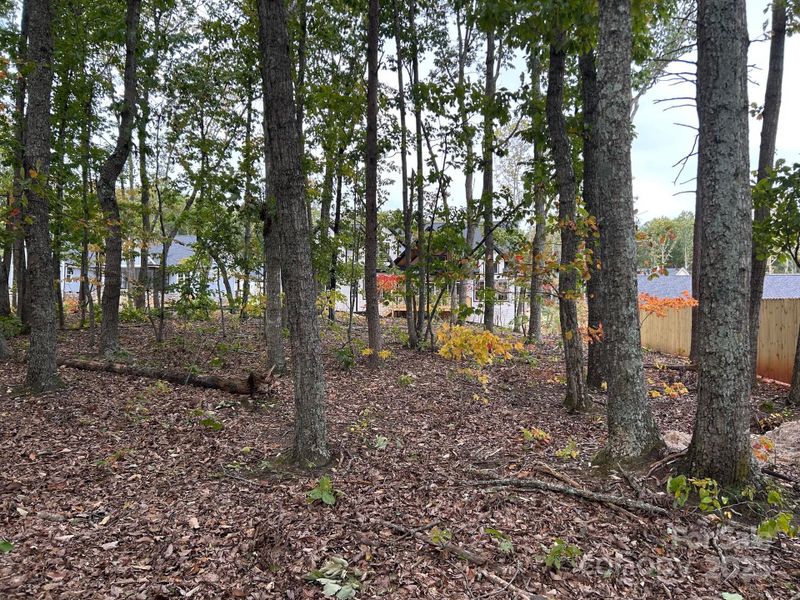 Natural landscape and outdoor views near  in Lincolnton (Image 7).