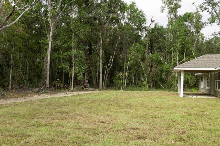 Natural landscape and outdoor views near The Preserve at Laurel Lake in Lake City (Image 16).