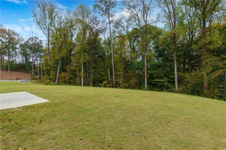 Natural landscape and outdoor views near Fireside Farms in Gainesville (Image 34).