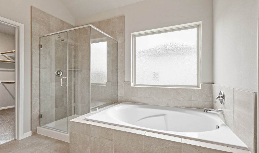 Owner's luxury bath shower and tub