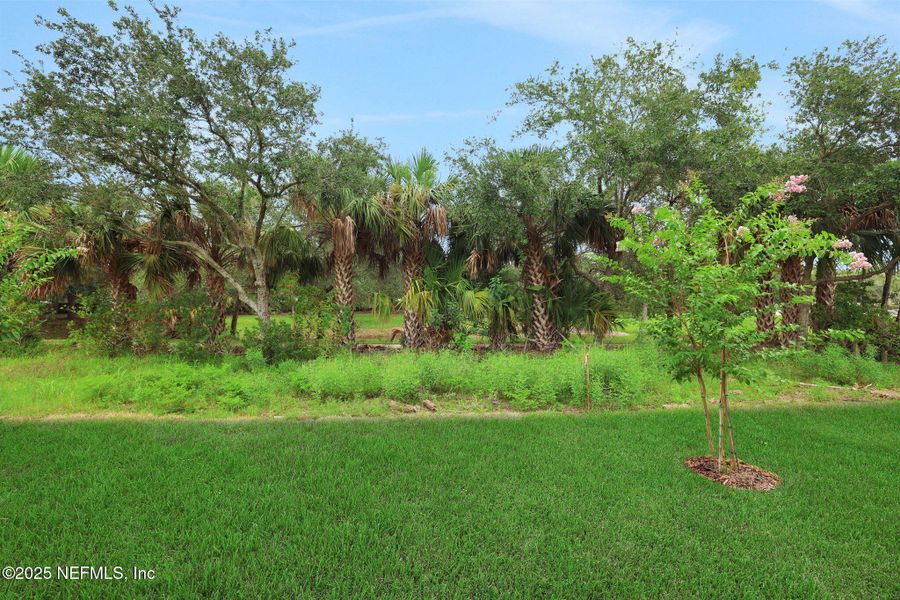 Natural landscape and outdoor views near in Palm Coast (Image 29). Natural landscape and outdoor views near in Palm Coast (Image 29).