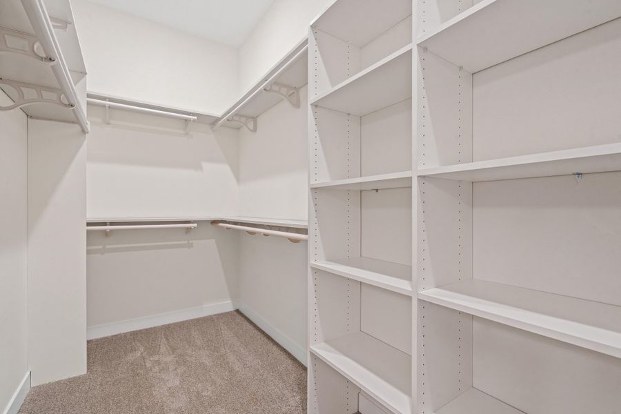 Walk in closet with light carpet