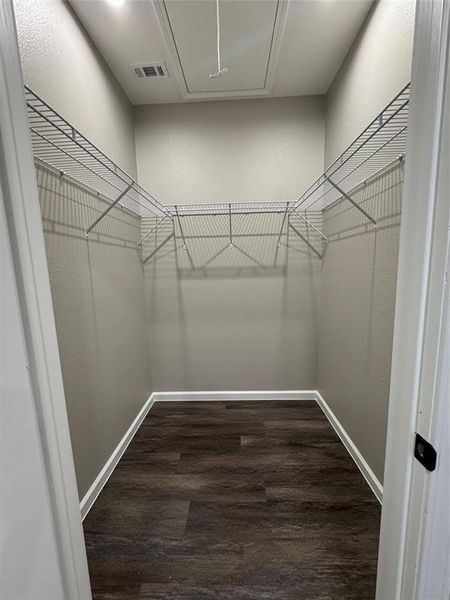 Primary bedroom closet