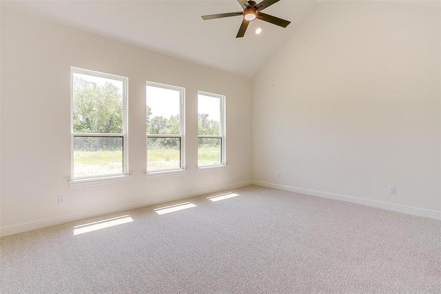 Spare room featuring carpet flooring, a healthy amount of sunlight, ceiling fan, and high vaulted ceiling