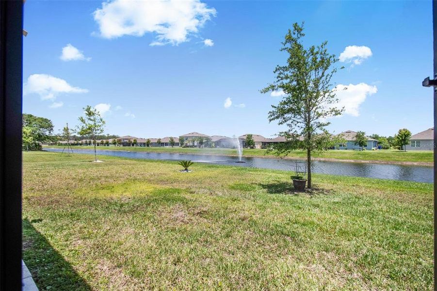Natural landscape and outdoor views near in Ormond Beach (Image 40). Natural landscape and outdoor views near in Ormond Beach (Image 40).