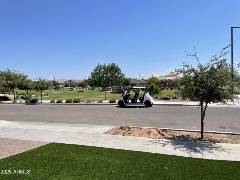 View of Common Area Across from the Home