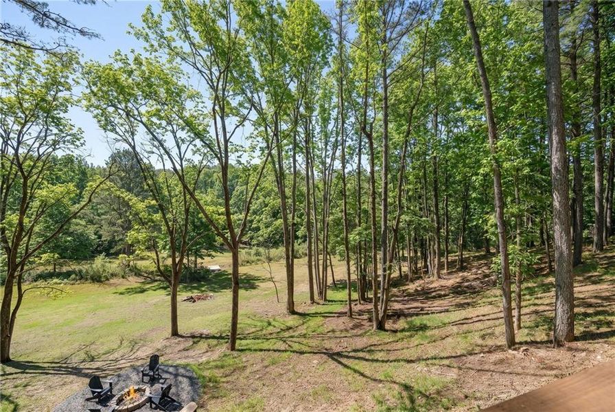 Natural landscape and outdoor views near  in Ball Ground (Image 52).