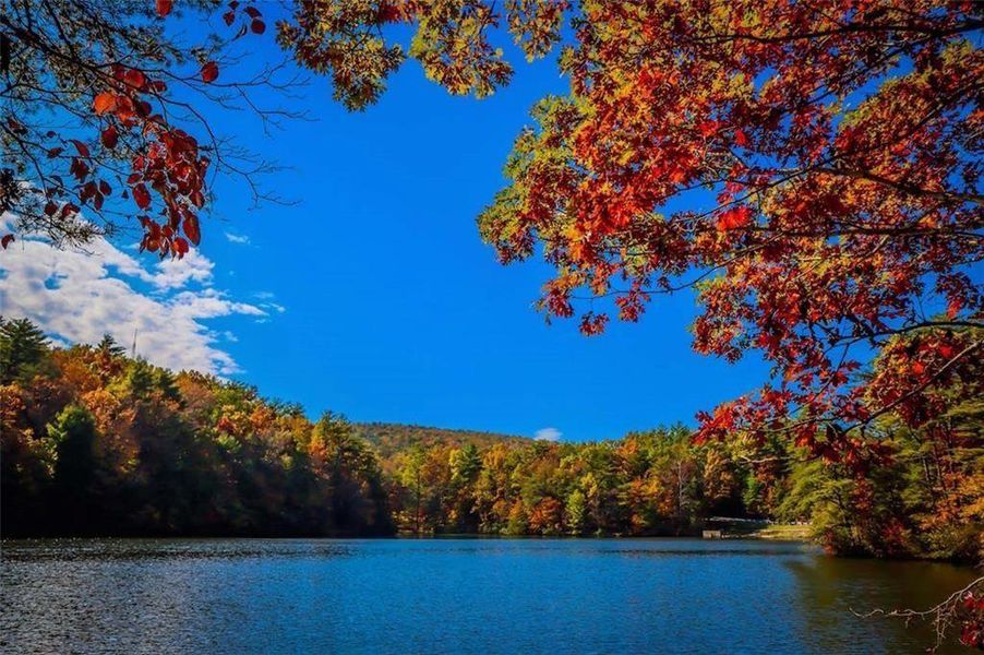 Natural landscape and outdoor views near  in Ellijay (Image 12).