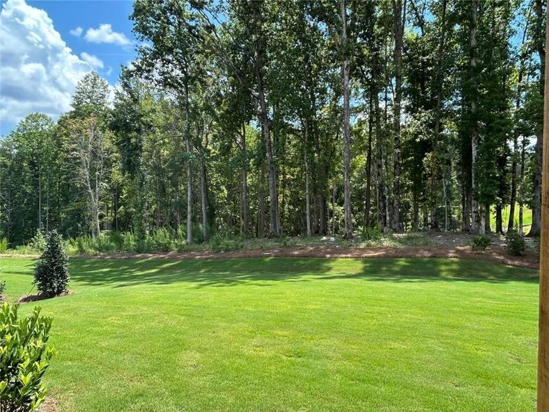 Natural landscape and outdoor views near in Gainesville (Image 22). Natural landscape and outdoor views near in Gainesville (Image 22).