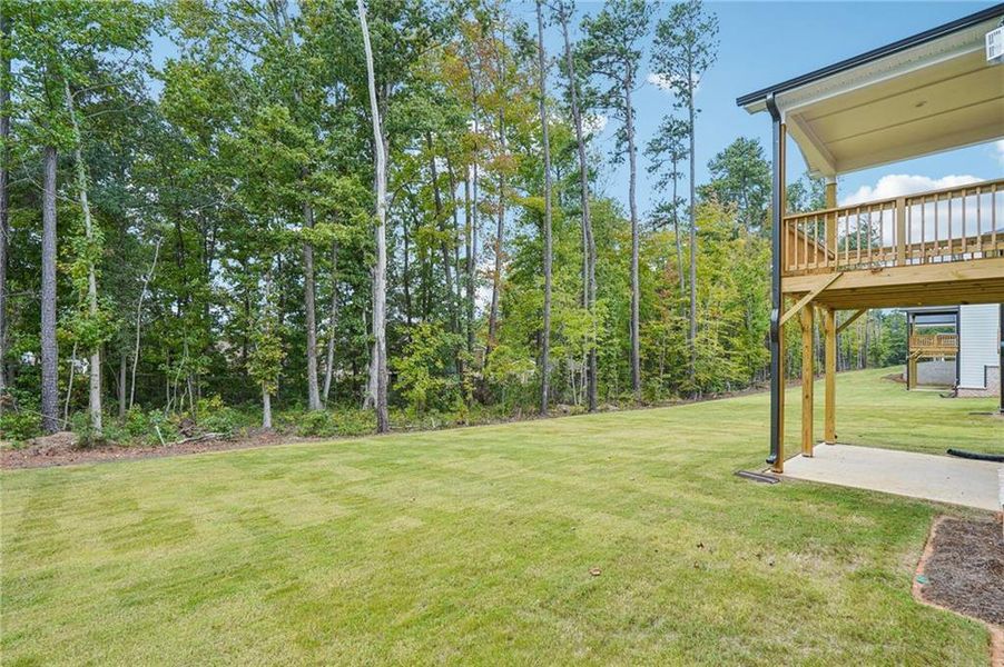 Natural landscape and outdoor views near Martin Springs - Estate Series in Lawrenceville (Image 38).