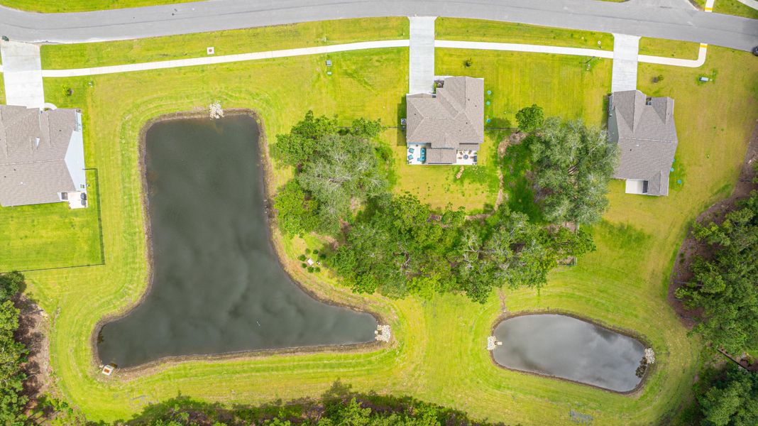 Image 59 of a home in Sea Island Preserve.