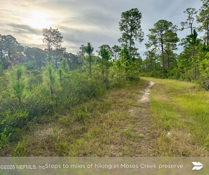 Natural landscape and outdoor views near  in St. Augustine (Image 35).