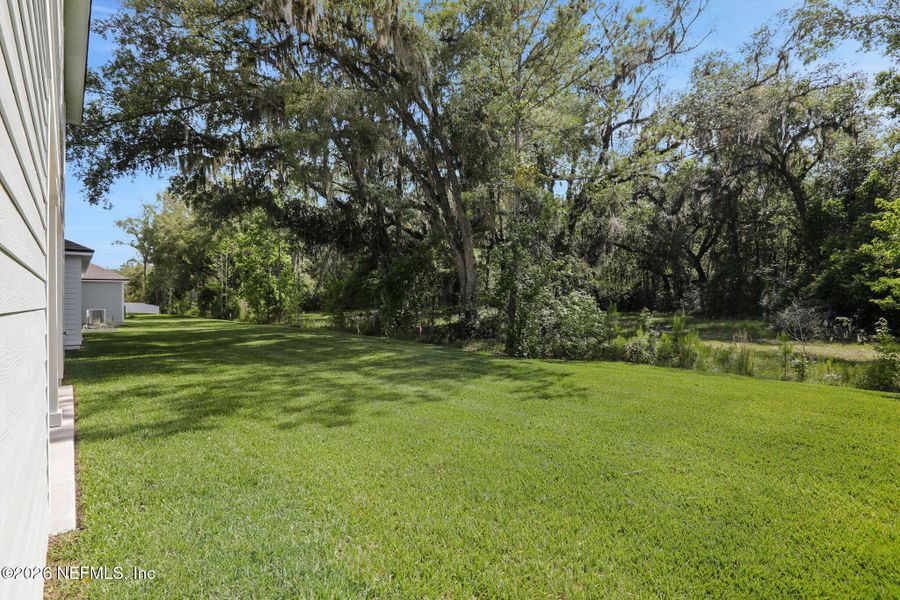 Natural landscape and outdoor views near Jennings Farm in Middleburg (Image 67). Natural landscape and outdoor views near Jennings Farm in Middleburg (Image 67).