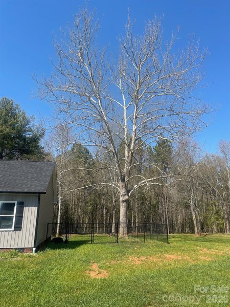 Natural landscape and outdoor views near in Lawndale (Image 21). Natural landscape and outdoor views near in Lawndale (Image 21).