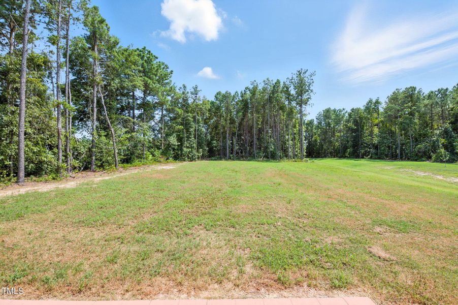 06_3901_Alpha_Ct_Bailey_NC_27807_USA-Ext