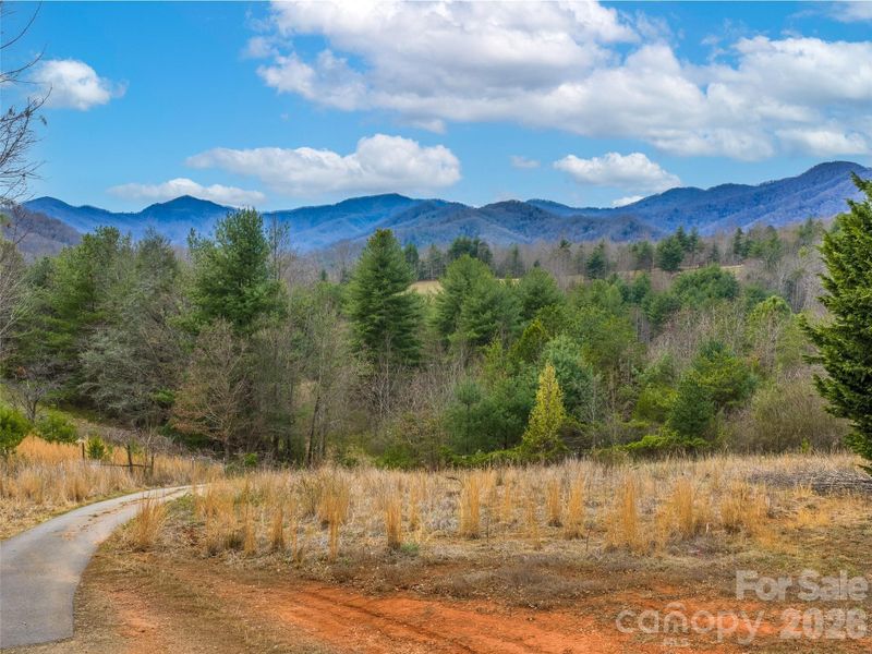 Natural landscape and outdoor views near  in Leicester (Image 11).