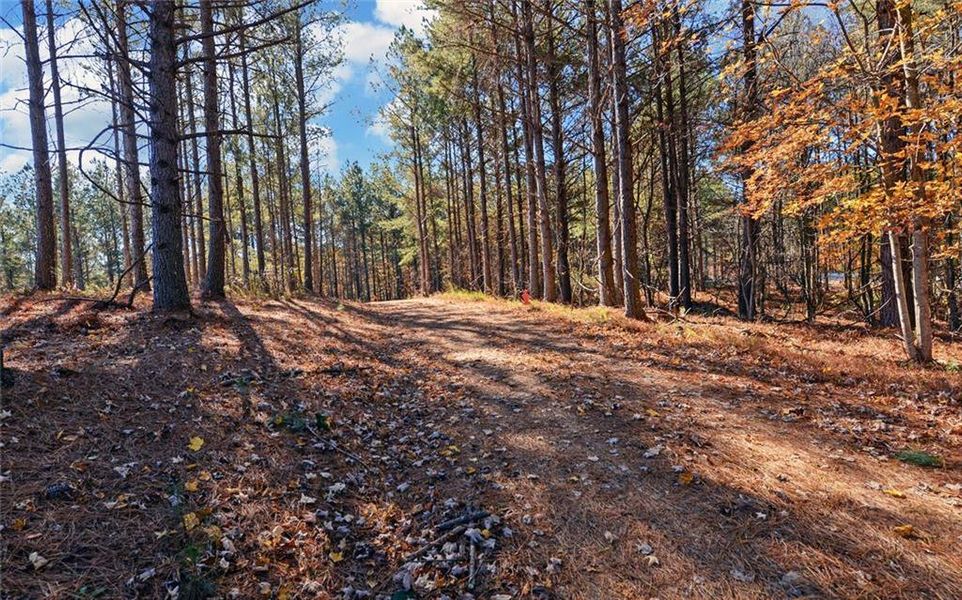 Natural landscape and outdoor views near  in Dahlonega (Image 42).