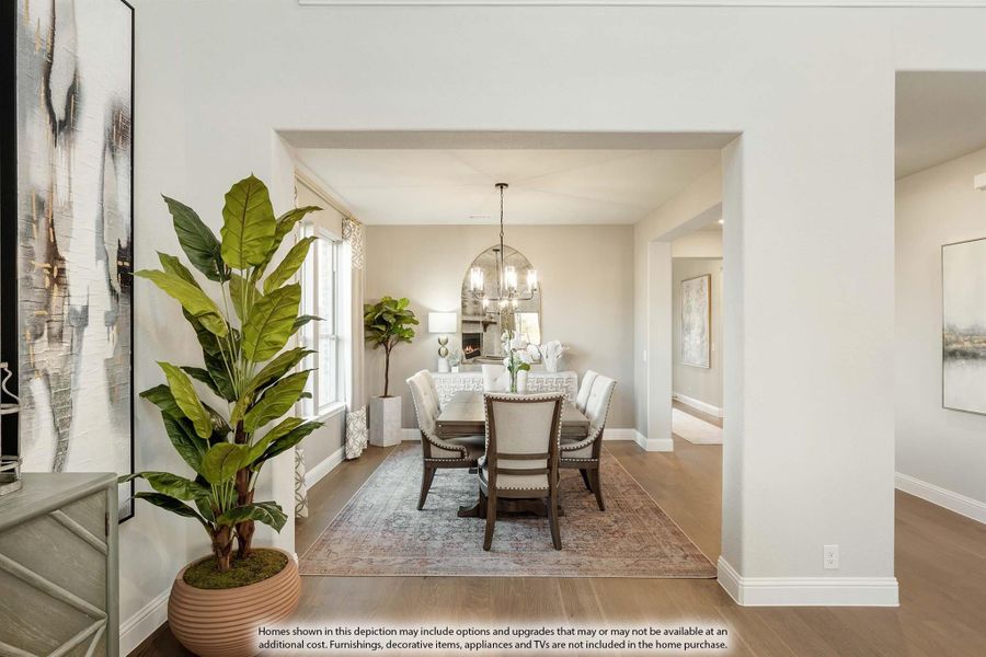 Formal dining room with arched chandelier, dining table and chairs, hardwood floors, and large indoor plant nearby.