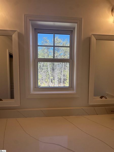 Close-up of interior finishes inside a home in Shiloh Trail, Wellford (Image 16).