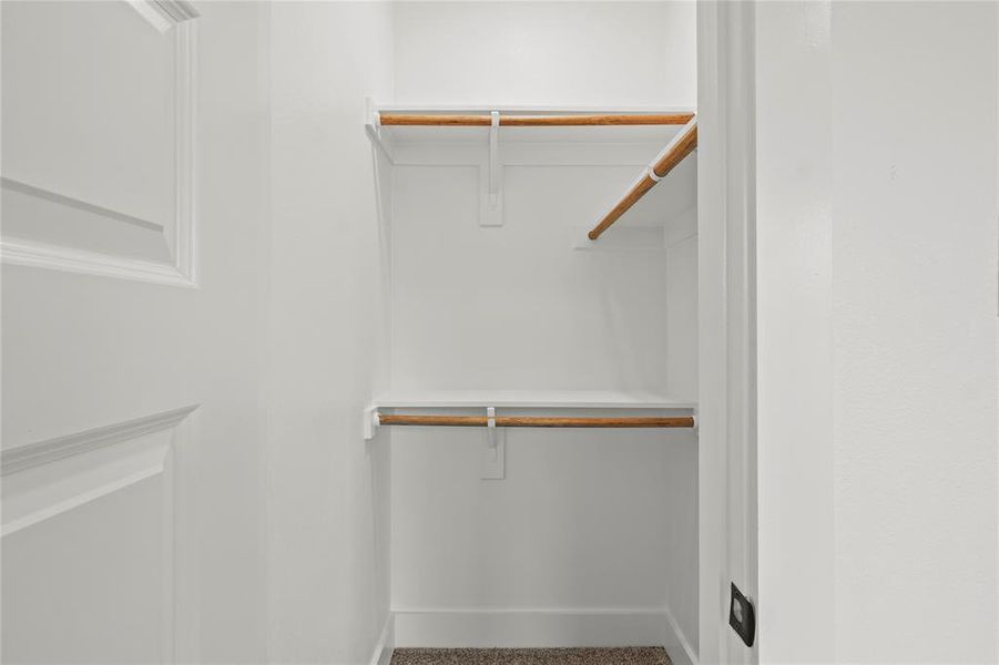 Spacious closet featuring carpet floors